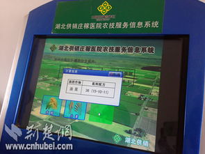 營口市供銷合作社聯(lián)合社信息技術(shù)咨詢服務(wù) 賦能傳統(tǒng)供銷體系數(shù)字化轉(zhuǎn)型